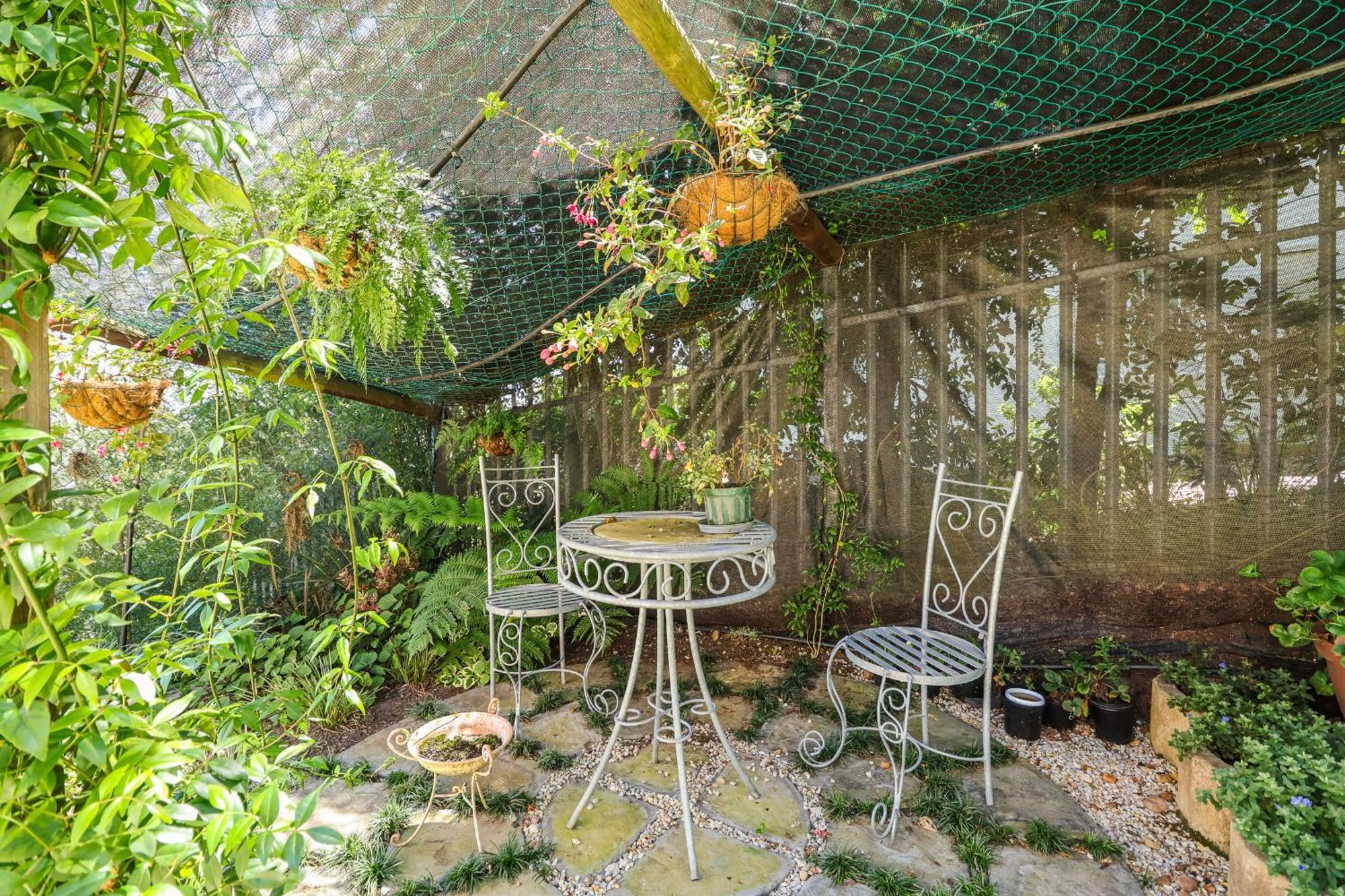 Belle Vue Ridge Bnb, プレッテンバーグ・ベイ エクステリア 写真